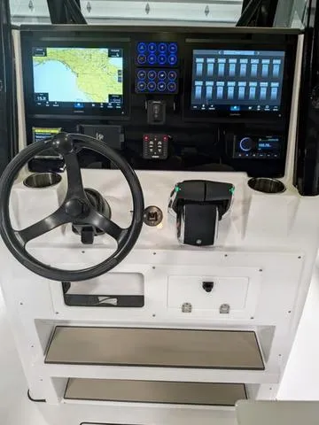 Slide: The Image of Stingray 253CC 2025 - 27