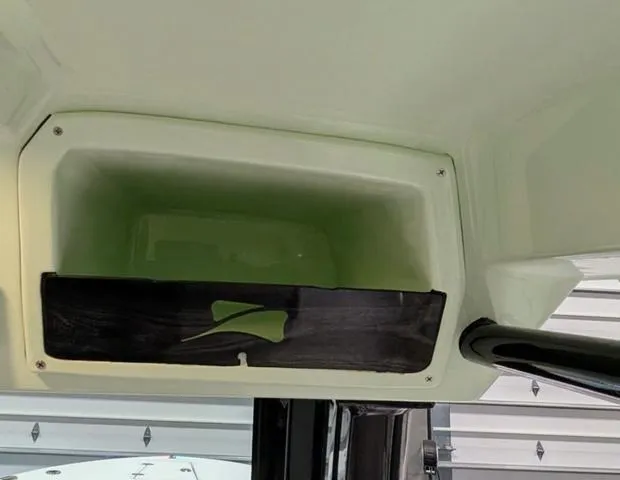 Slide: The Image of Stingray 253CC 2025 - 34