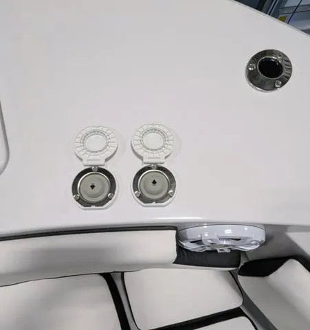 Slide: The Image of Stingray 253CC 2025 - 42