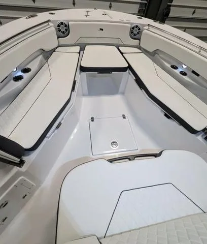 Slide: The Image of Stingray 253CC 2025 - 43