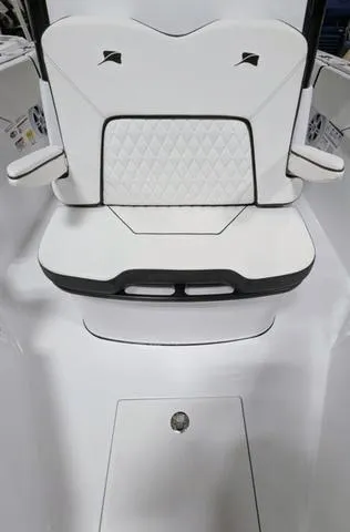 Slide: The Image of Stingray 253CC 2025 - 45