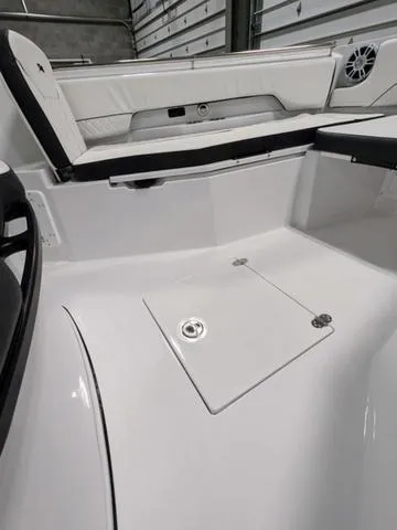 Slide: The Image of Stingray 253CC 2025 - 48