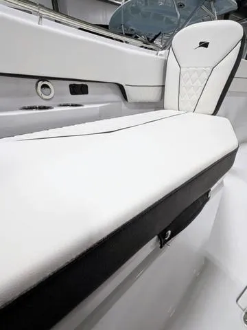 Slide: The Image of Stingray 253CC 2025 - 49