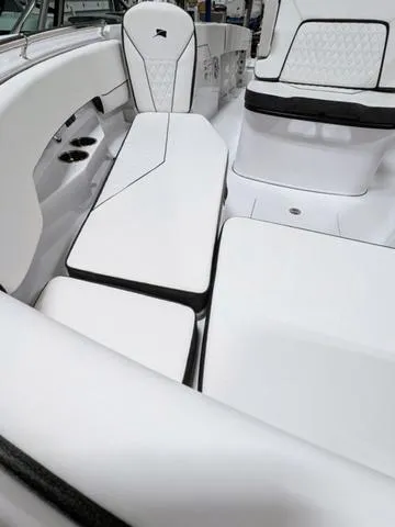 Slide: The Image of Stingray 253CC 2025 - 50