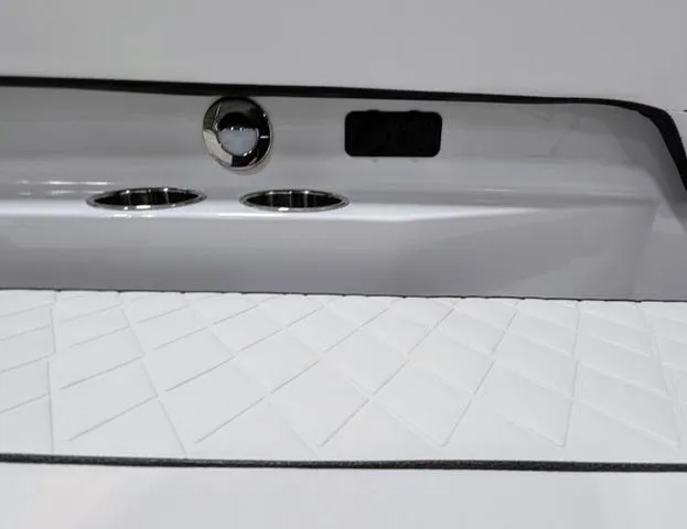 Slide: The Image of Stingray 253CC 2025 - 51