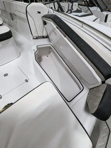 Slide: The Image of Stingray 253CC 2025 - 52