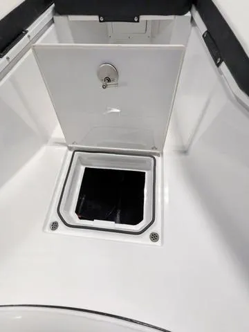 Slide: The Image of Stingray 253CC 2025 - 53