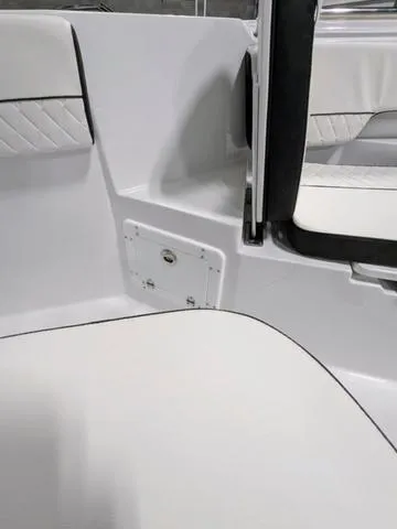 Slide: The Image of Stingray 253CC 2025 - 54