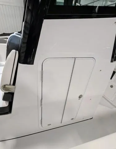 Slide: The Image of Stingray 253CC 2025 - 58