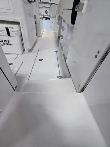 Slide: The Image of Stingray 253CC 2025 - 67