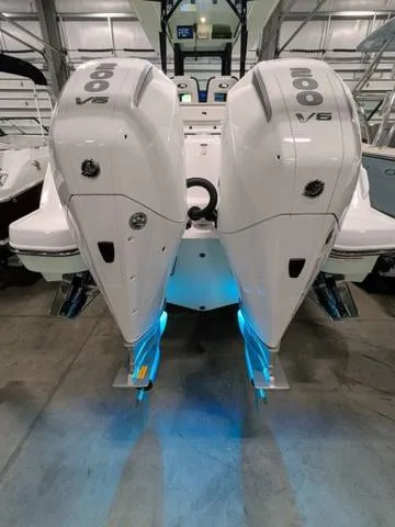 Slide: The Image of Stingray 253CC 2025 - 7