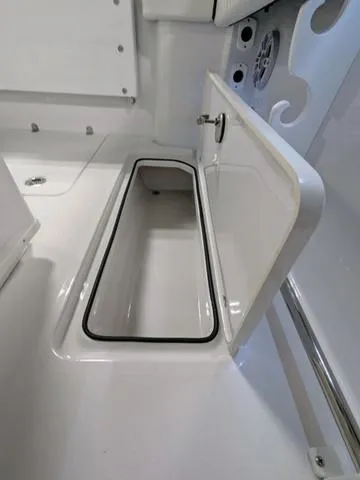 Slide: The Image of Stingray 253CC 2025 - 71