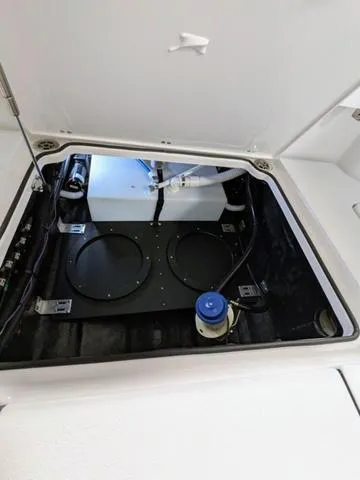 Slide: The Image of Stingray 253CC 2025 - 73