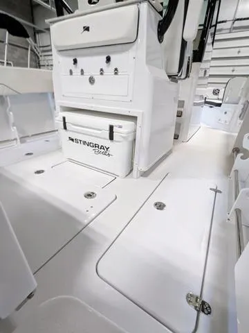 Slide: The Image of Stingray 253CC 2025 - 74