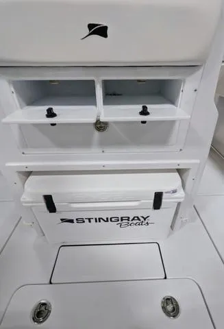 Slide: The Image of Stingray 253CC 2025 - 76