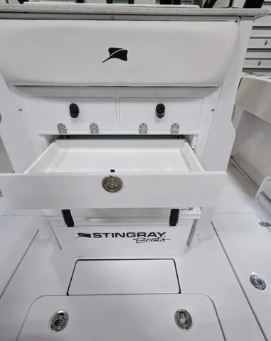 Slide: The Image of Stingray 253CC 2025 - 77