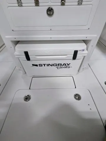 Slide: The Image of Stingray 253CC 2025 - 78