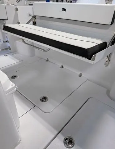 Slide: The Image of Stingray 253CC 2025 - 79