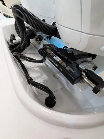 Slide: The Image of Stingray 253CC 2025 - 8