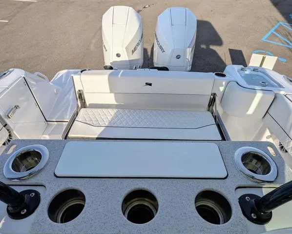 Slide: The Image of Stingray 253CC 2025 - 80