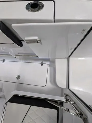 Slide: The Image of Stingray 253CC 2025 - 85