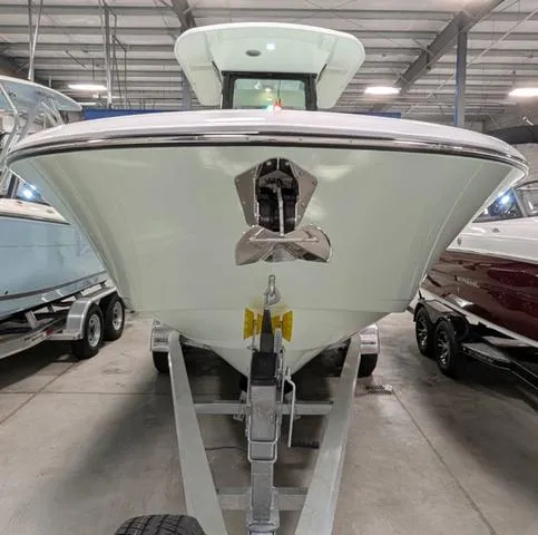 Slide: The Image of Stingray 253CC 2025 - 9