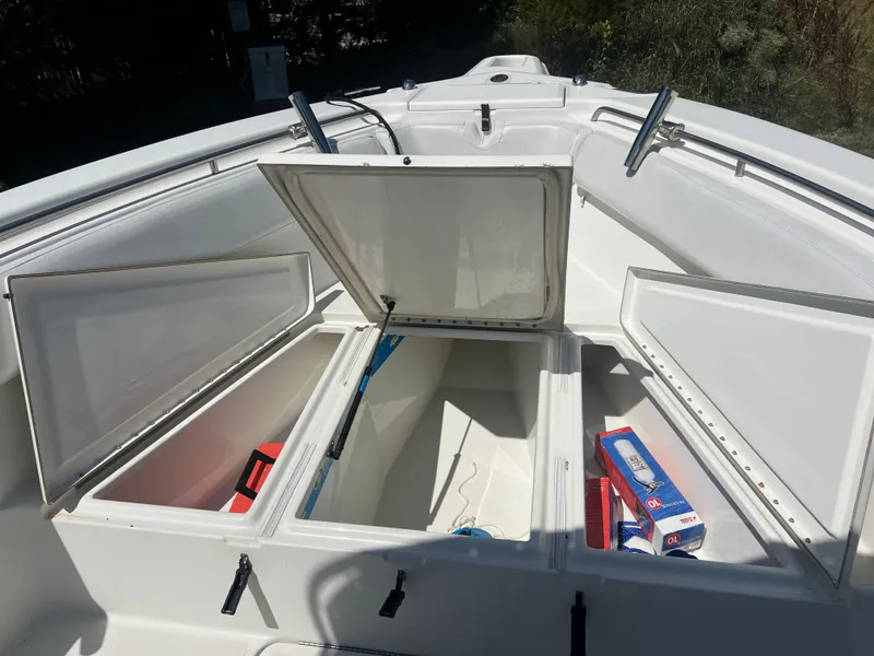 Slide: The Image of Triton 2895 CC 2003 - 33