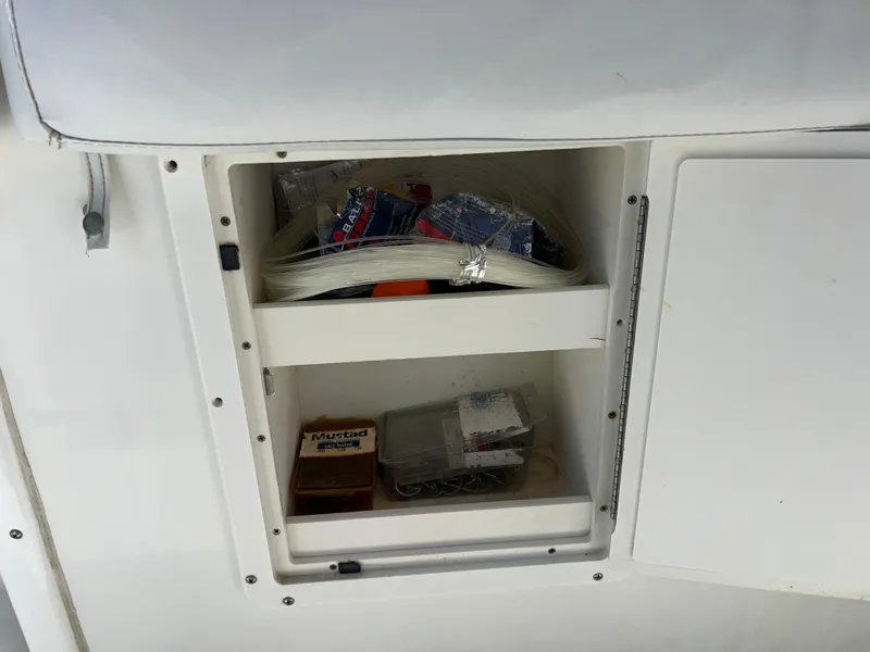 Slide: The Image of Triton 2895 CC 2003 - 42