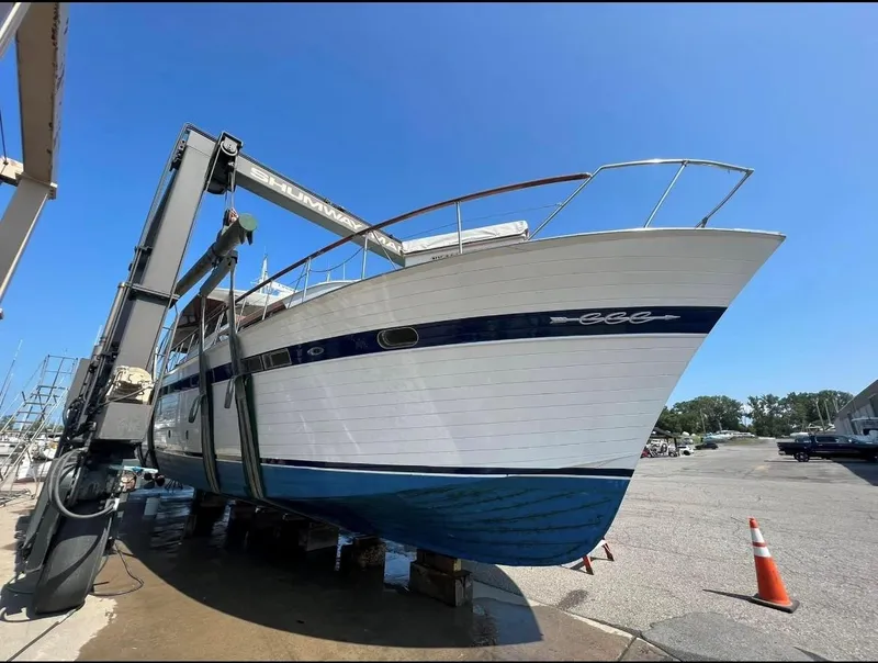 Slide: The Image of varnished transom and swim platform - 4