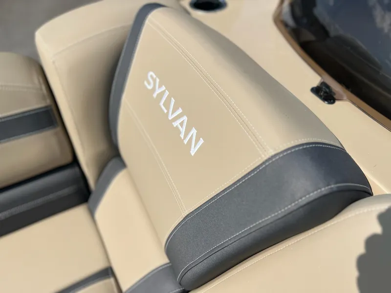 Slide: The Image of Sylvan L-3 QHS 2024 - 32