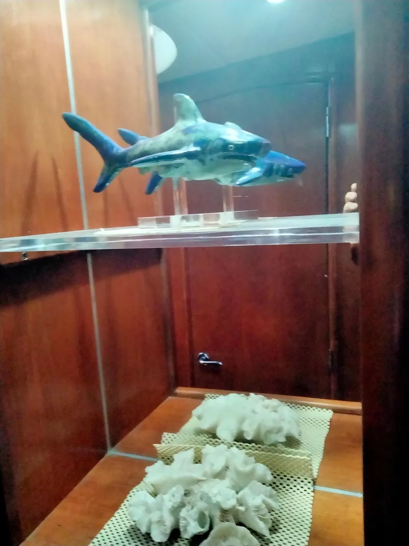Slide: The Image of Wooden shelf with shark figurine and corals in Carver 530 Voyager Pilothouse. - 7