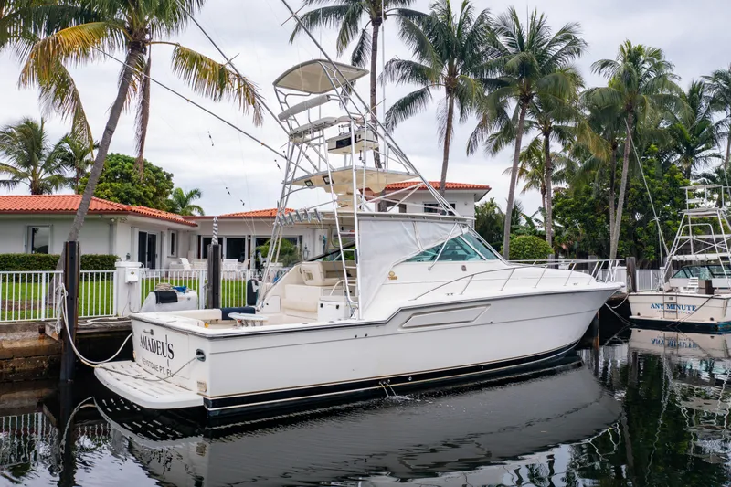 Slide: The Image of 1995 Tiara Yachts 4300 Open docked near palm trees and waterfront homes. - 39