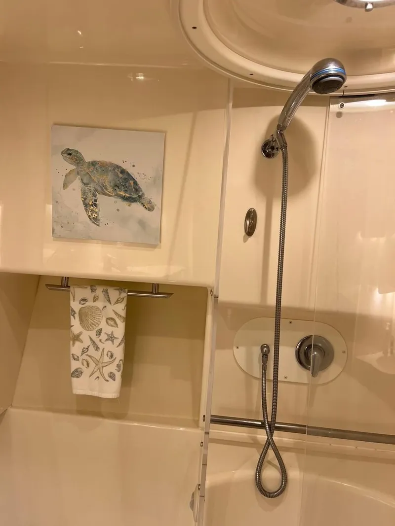 Slide: The Image of Shower area in 2005 Tiara Yachts 4200 Open, featuring turtle artwork and towel. - 29