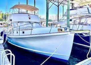 Slide: The Image of Jarvis Newman Newman 46 Down Easter 1982 - 304