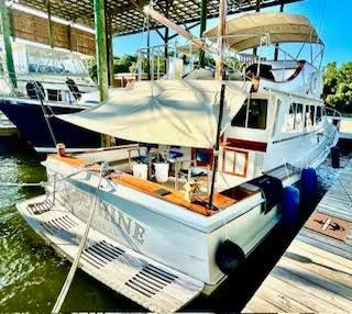 Slide: The Image of Jarvis Newman Newman 46 Down Easter 1982 - 305