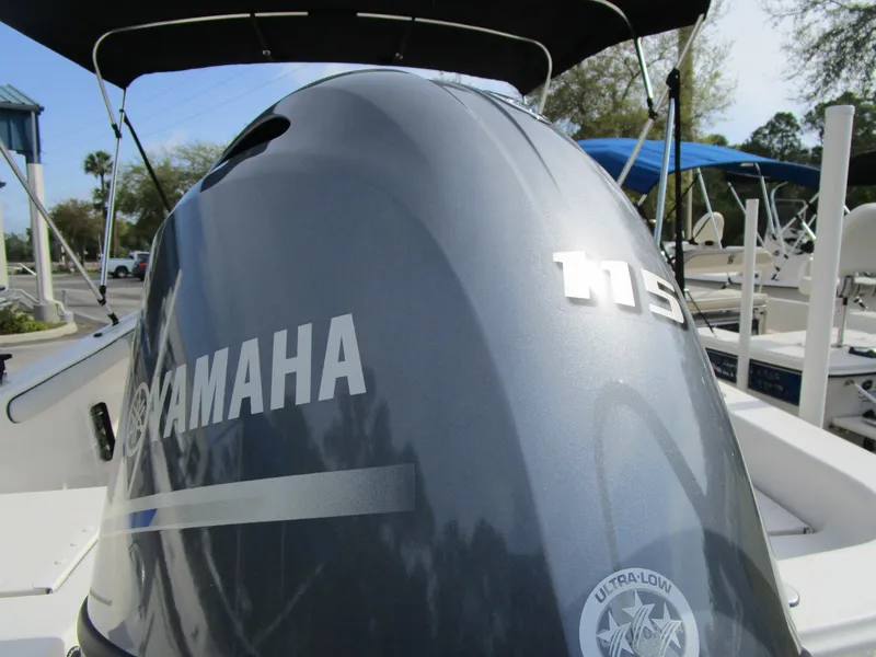 Slide: The Image of Carolina LS Series 19LS 2025 - 6