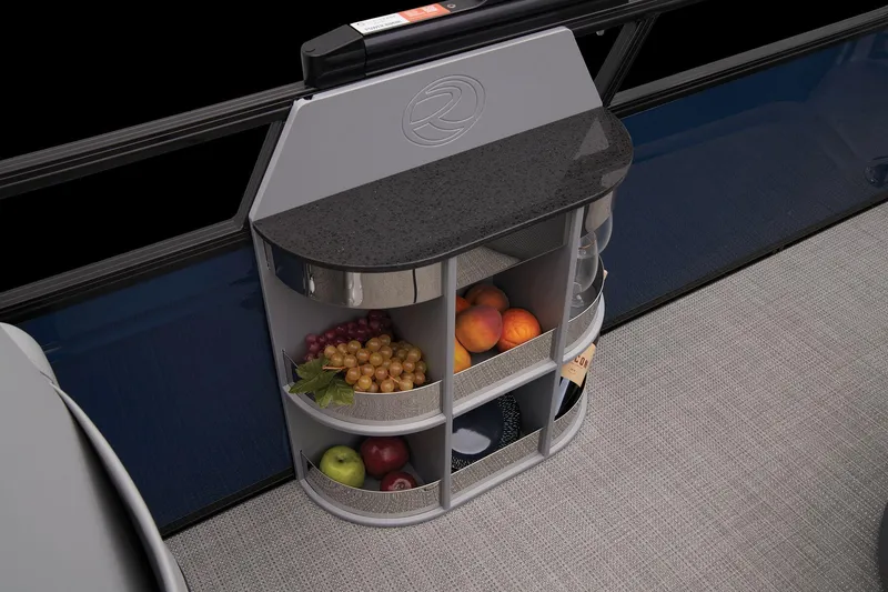 Slide: The Image of Regency 250 LE3 Sport 2024 - 50