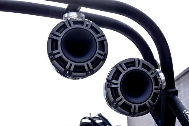 Slide: The Image of Sanger 231SL 2024 - 5