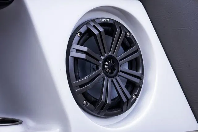 Slide: The Image of Sanger 231SL 2024 - 8