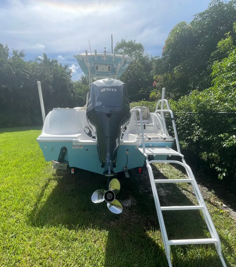 Slide: The Image of 2021 Sea Fox 248 Commander boat with outboard motor and ladder on grassy area. - 13