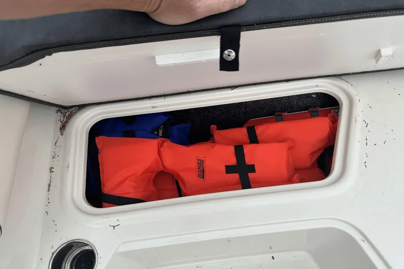 Slide: The Image of Stingray 191DC 2020 - 11