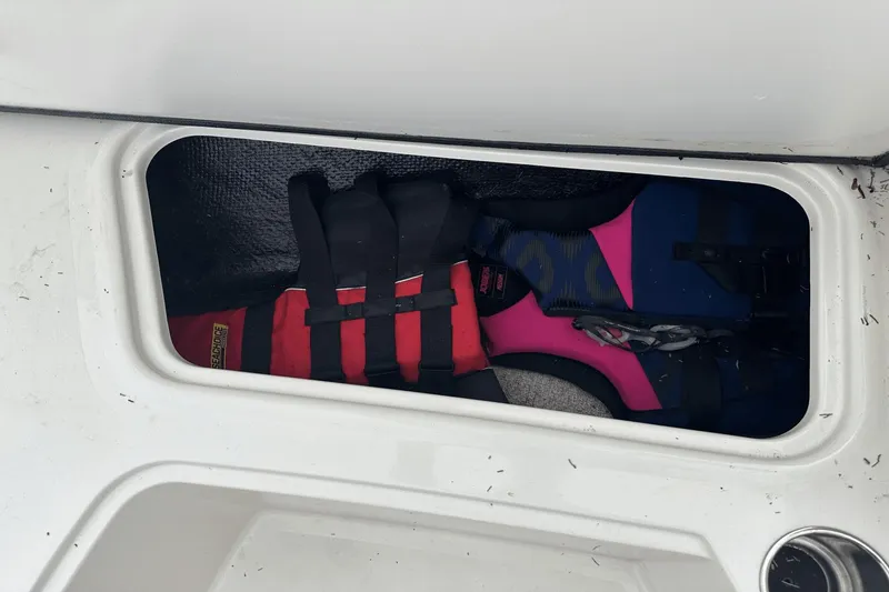 Slide: The Image of Stingray 191DC 2020 - 12