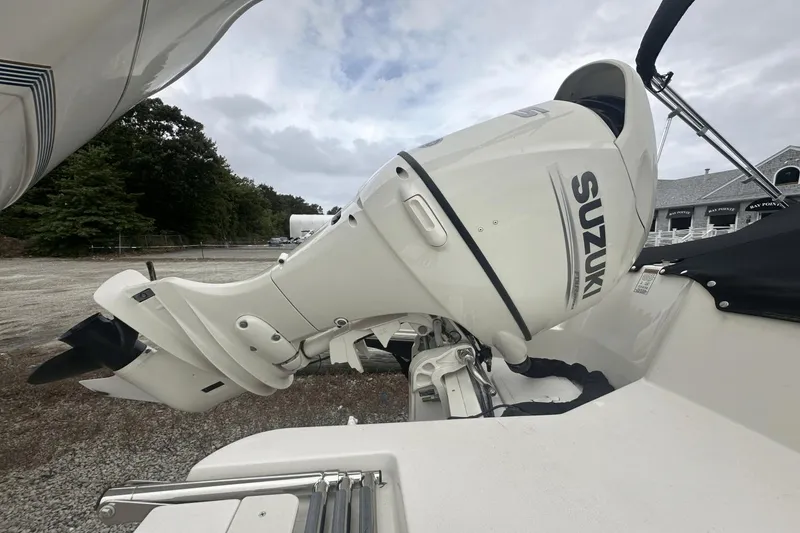 Slide: The Image of Stingray 191DC 2020 - 2