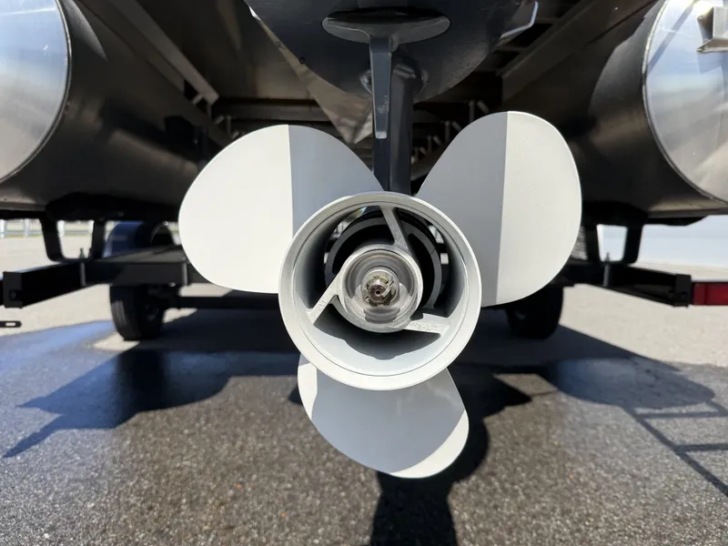 Slide: The Image of Bennington 20 SVF 2024 - 17