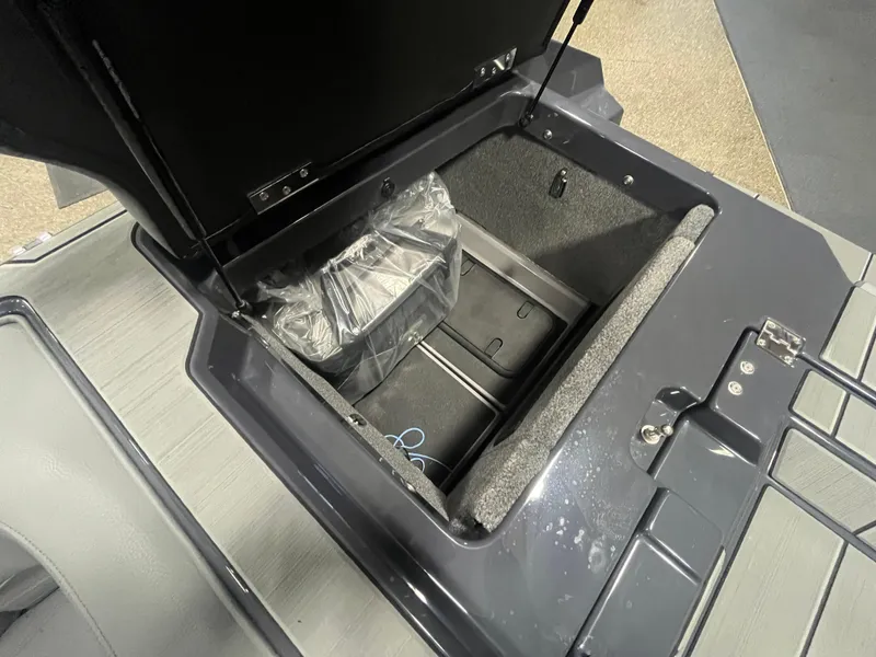 Slide: The Image of Supra SV 2024 - 10