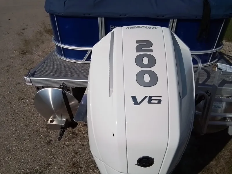 Slide: The Image of Bennington 22SVSR-SPSSR 2024 - 6