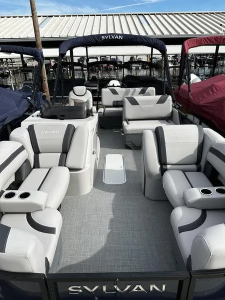 The Image of Sylvan L-1 DLZ 2024 - 1