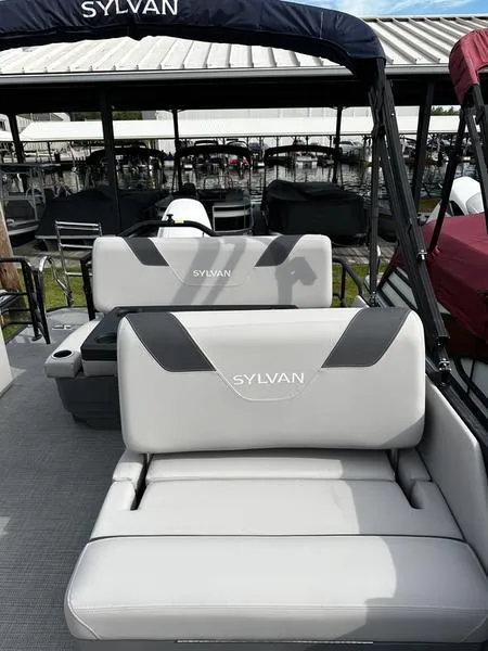 Slide: The Image of Sylvan L-1 DLZ 2024 - 4