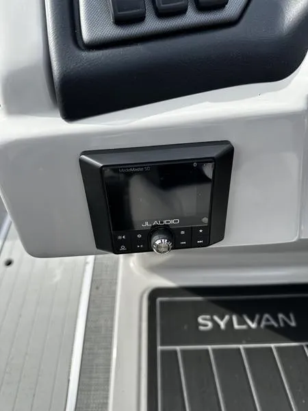 Slide: The Image of Sylvan L-1 DLZ 2024 - 7