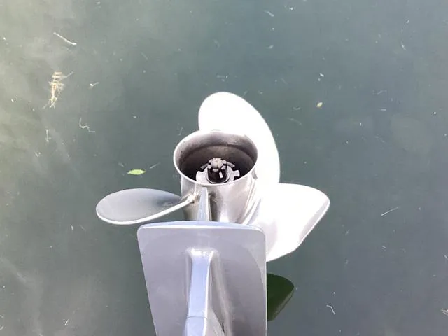 Slide: The Image of Godfrey SW2486C 2016 - 16